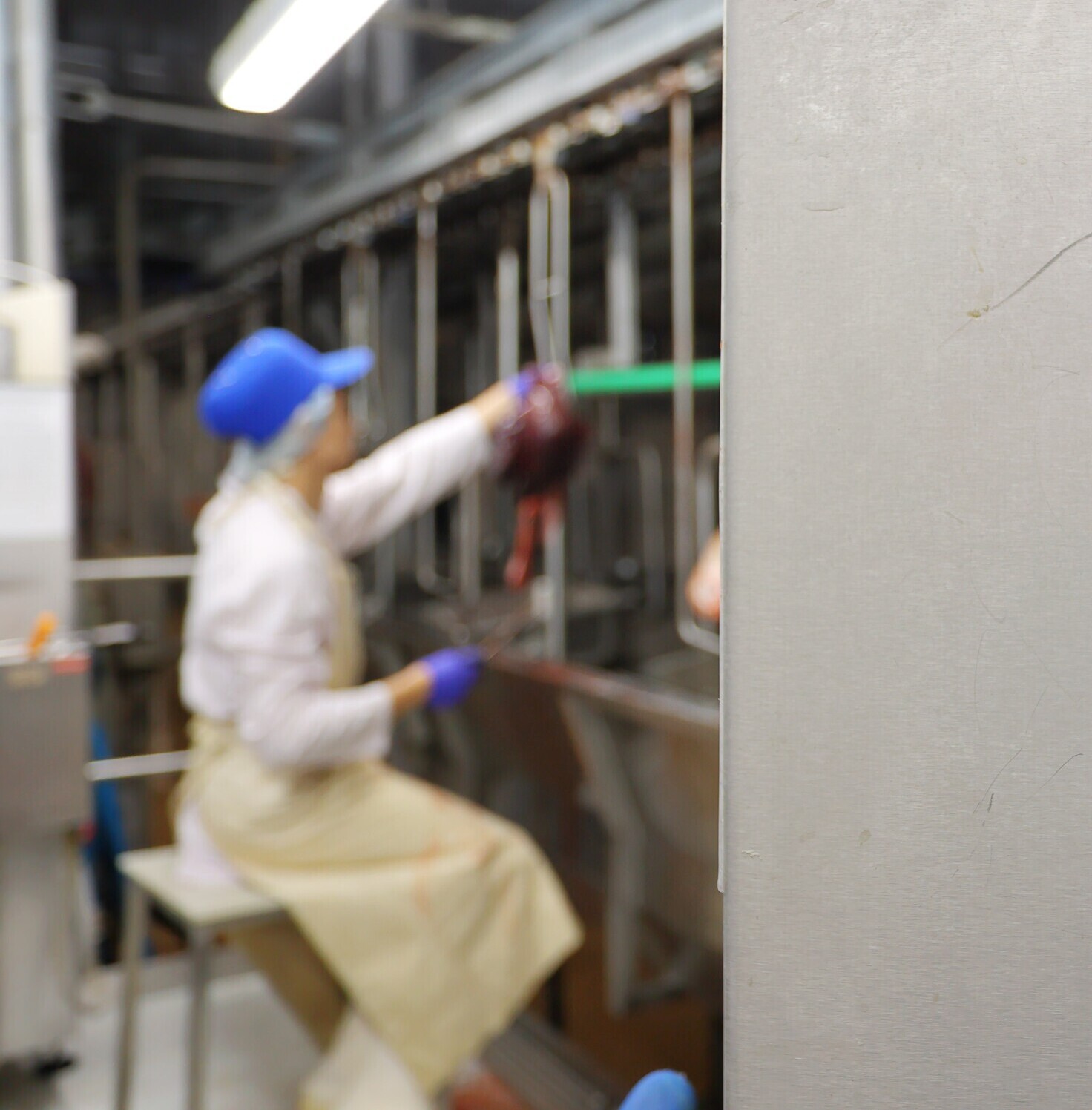 Срочно требуются разборщики субпродуктов в мясожировой цех с неполной рабочей неделей